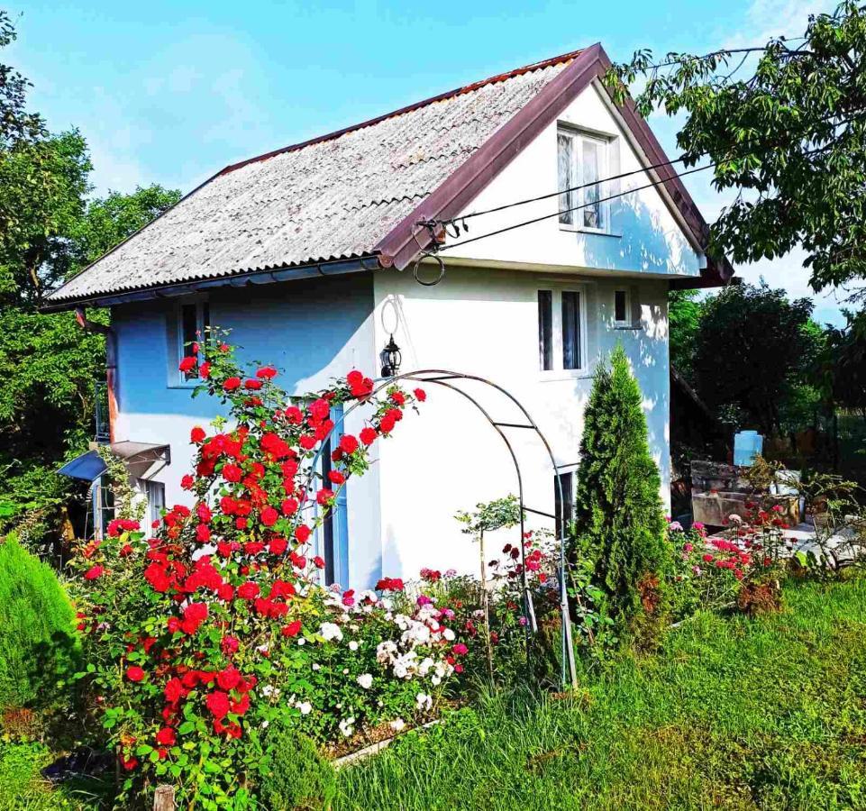 Guest House Bee Visoko Exteriör bild